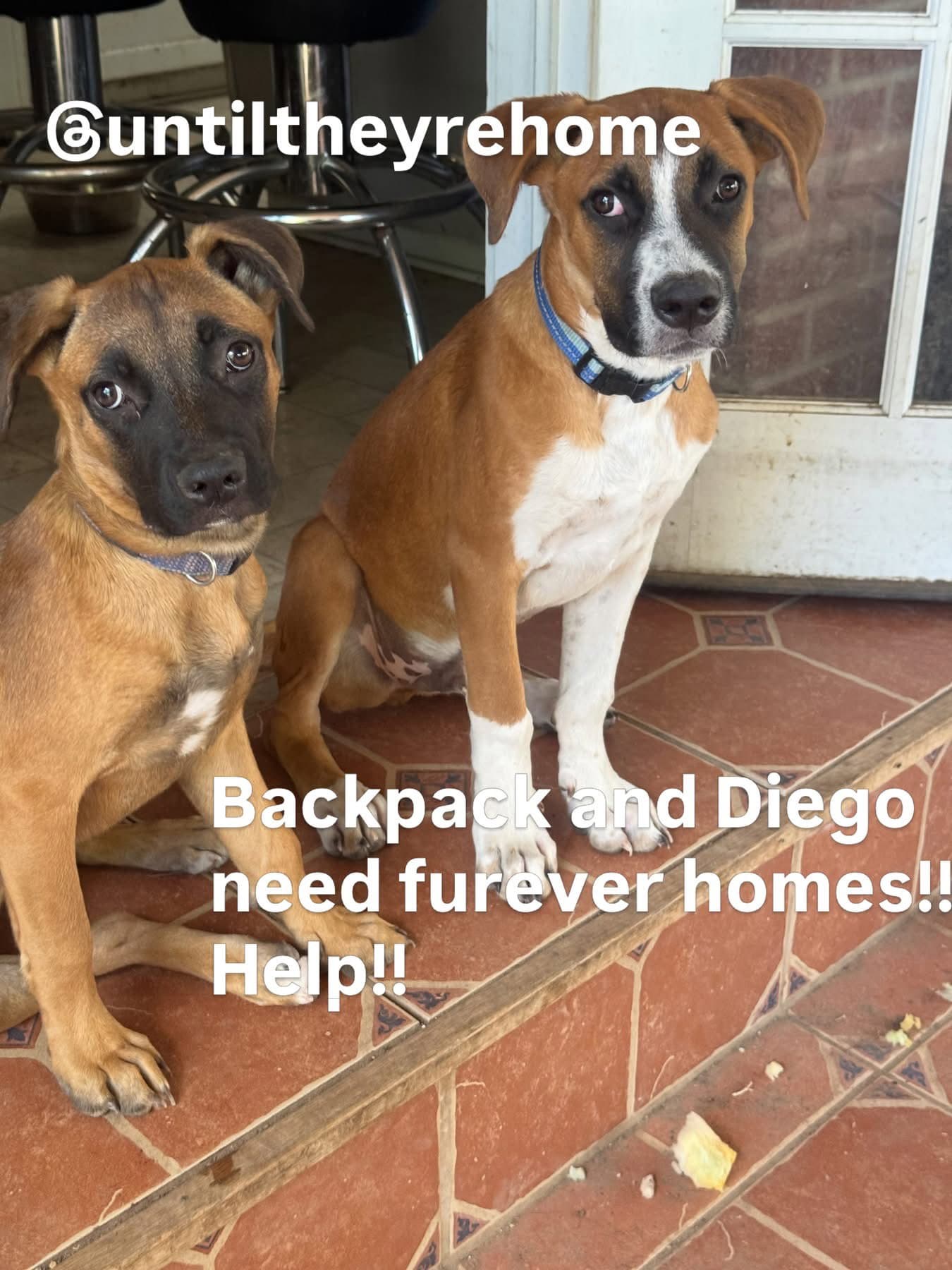 Diego