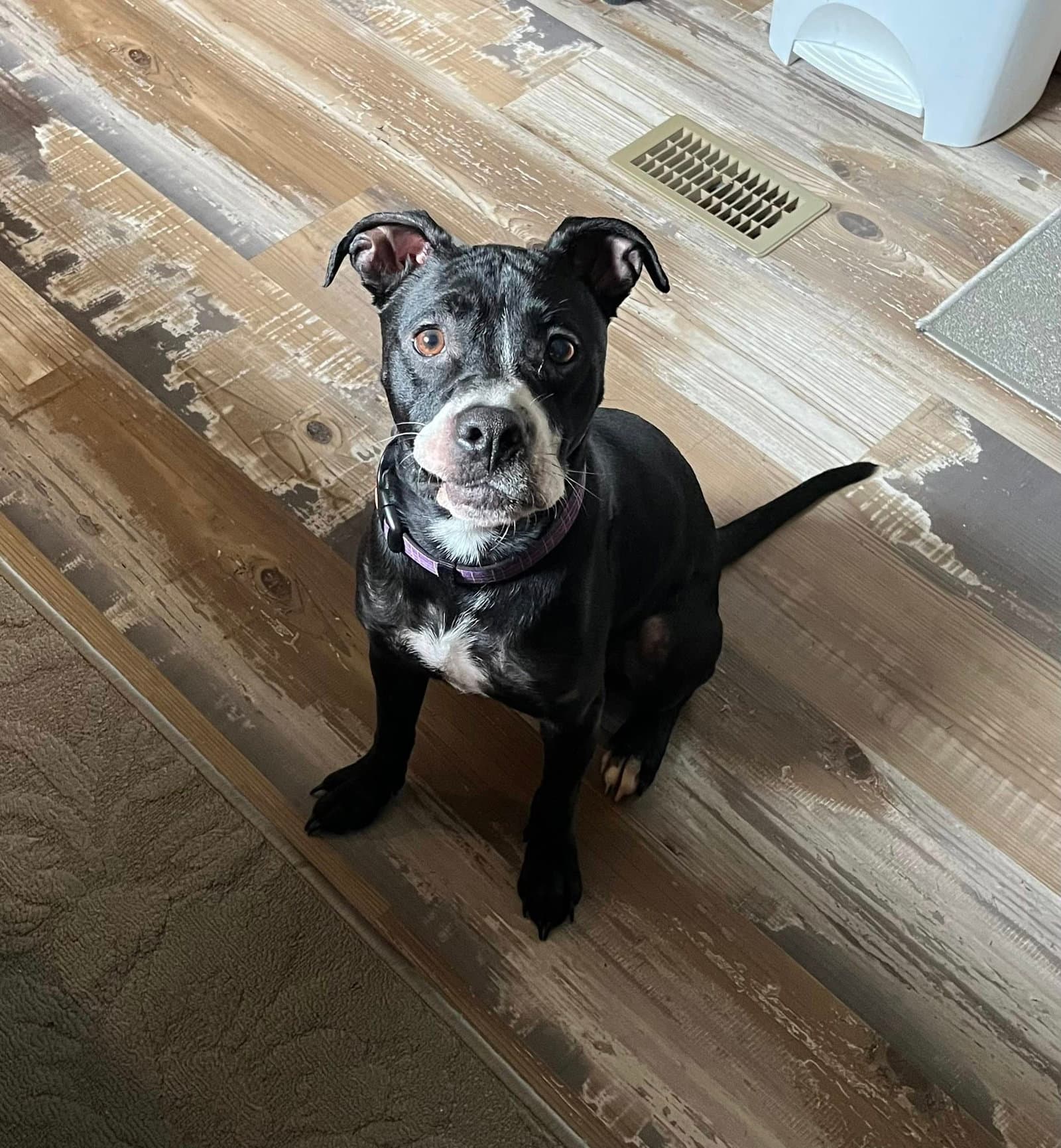 Ruby