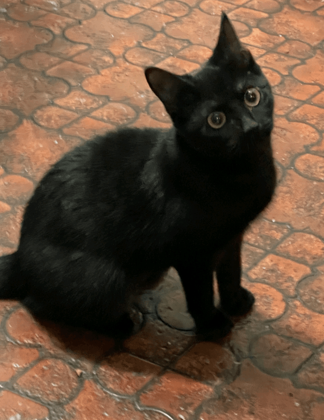 Onyx