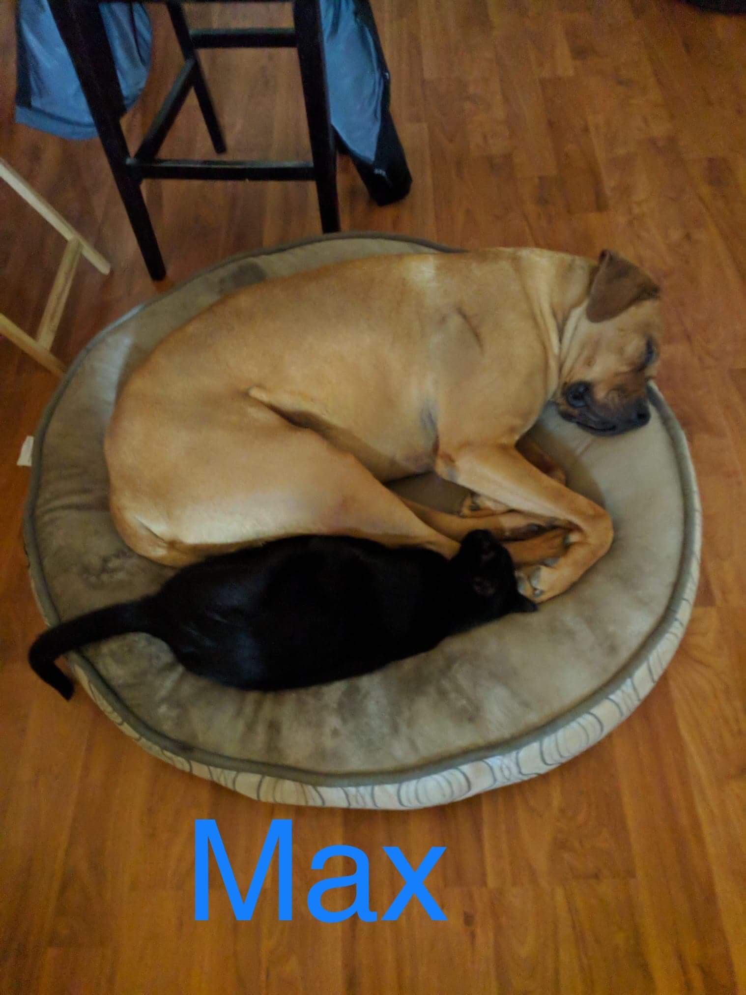 Max