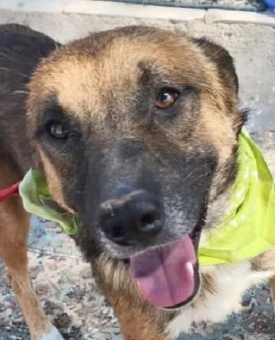Leon (West Bank) sv