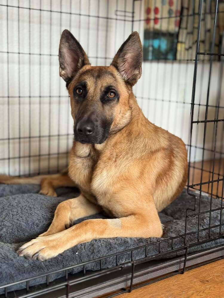 Jasper FKA Duncan located in California