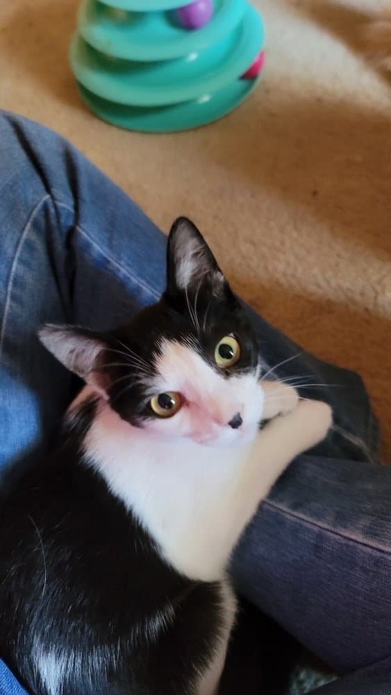 Marley