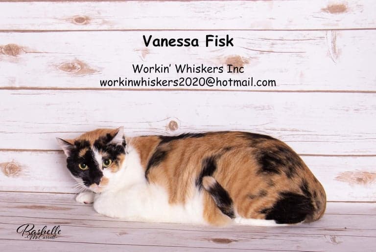 Vanessa Fisk