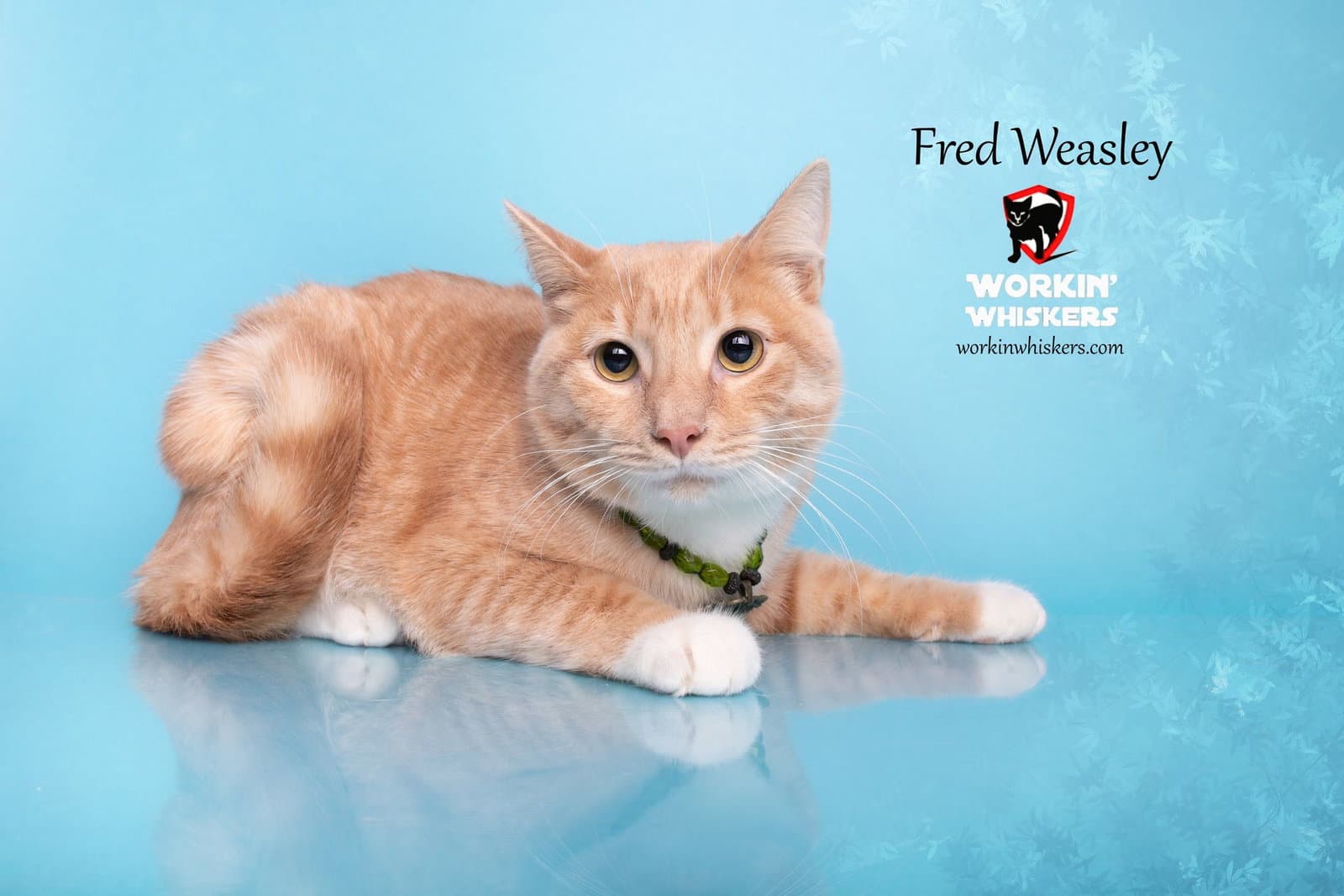 Fred Weasley