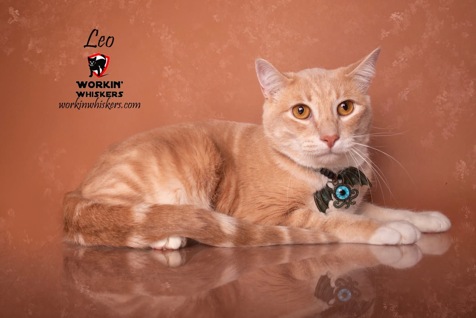 Leo