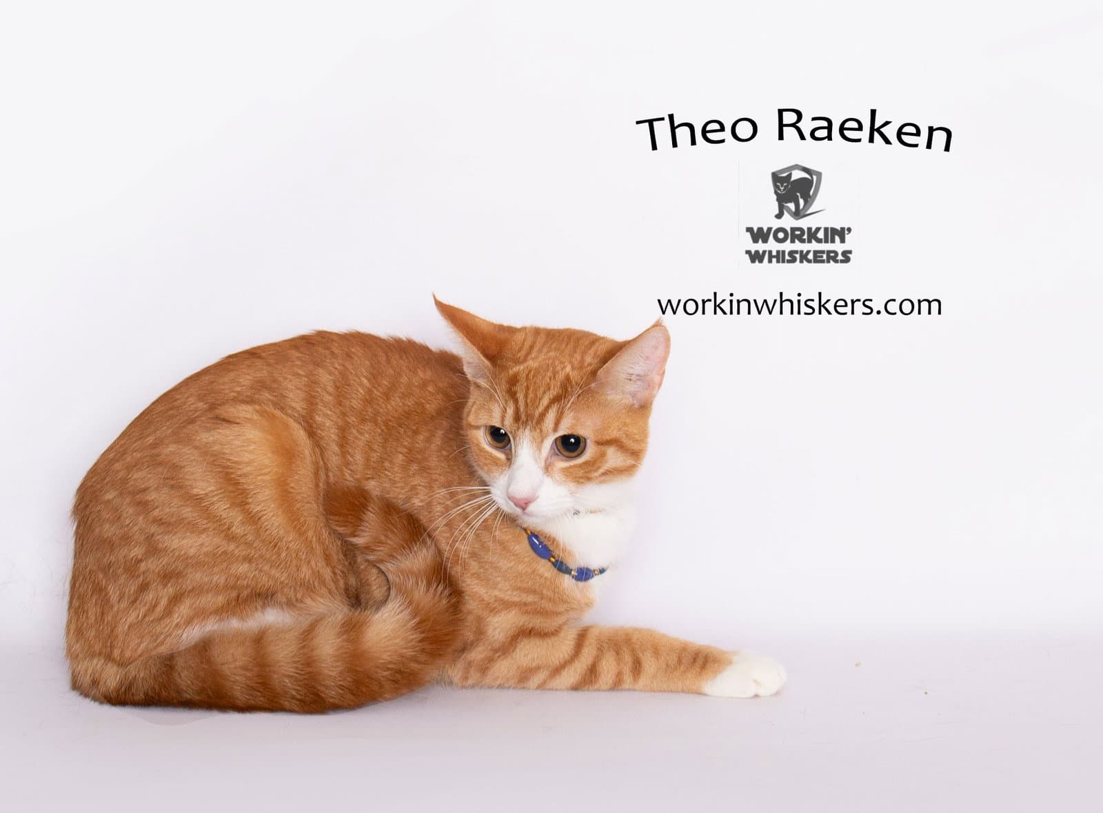 Theo Raeken