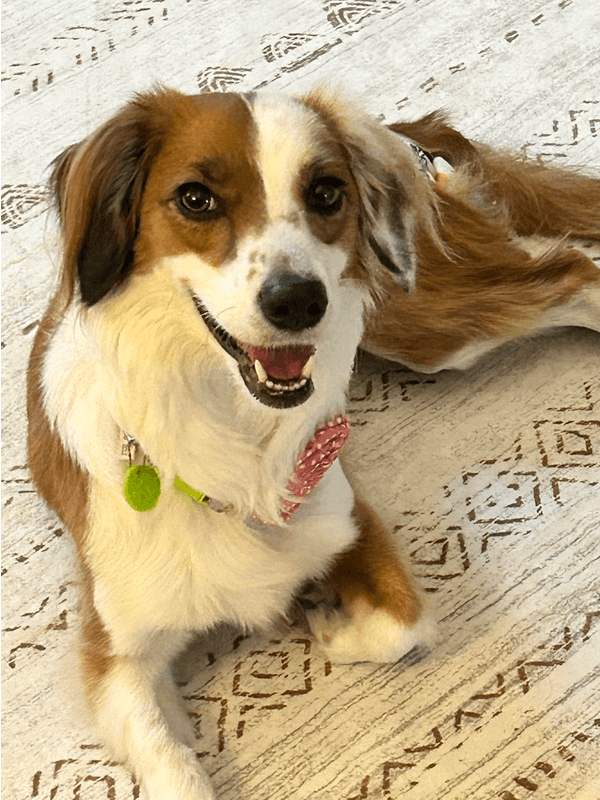Penny Lane