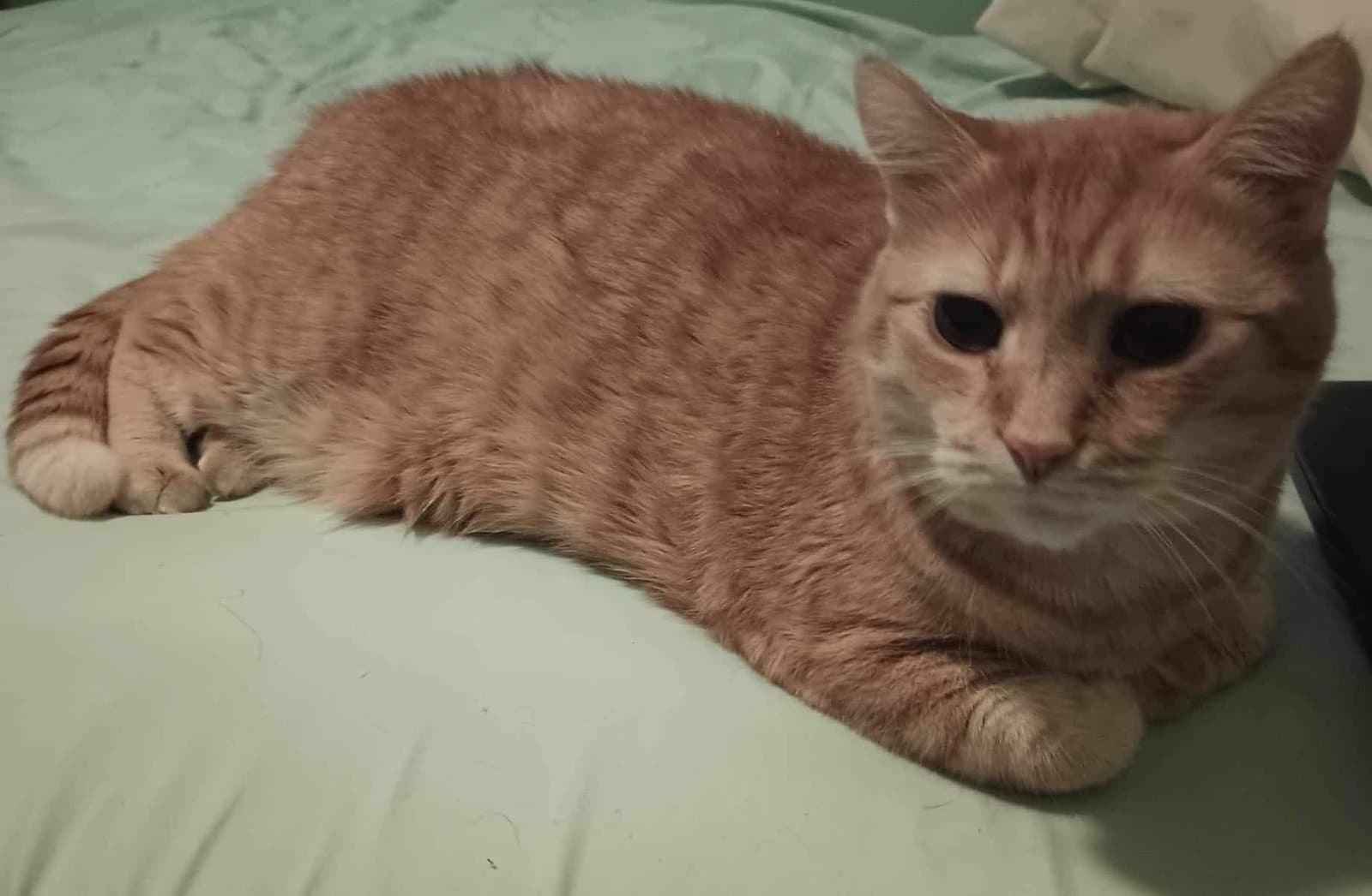 Hubert