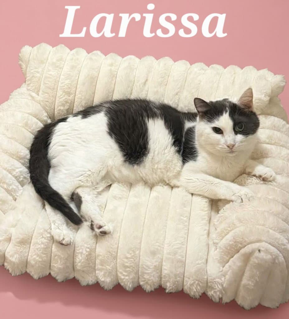 Larissa