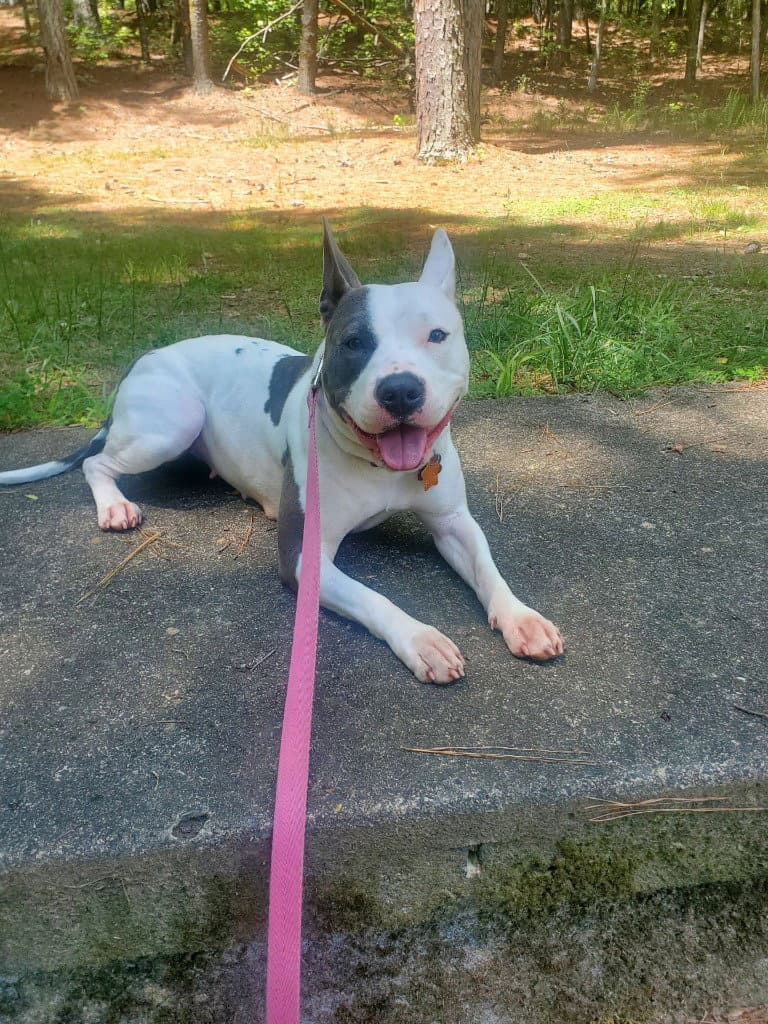 Pinky (Courtesy Post)