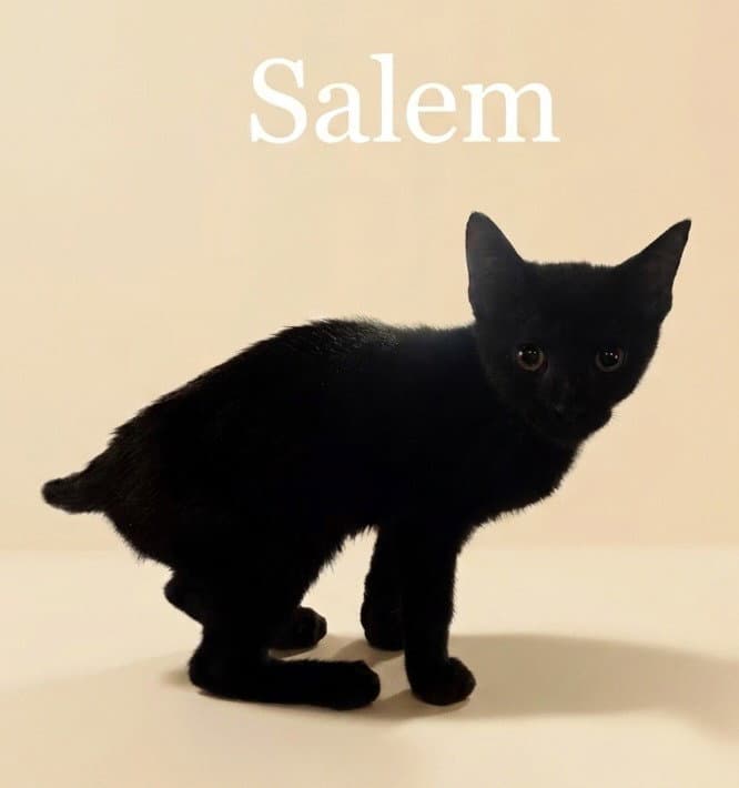 Salem