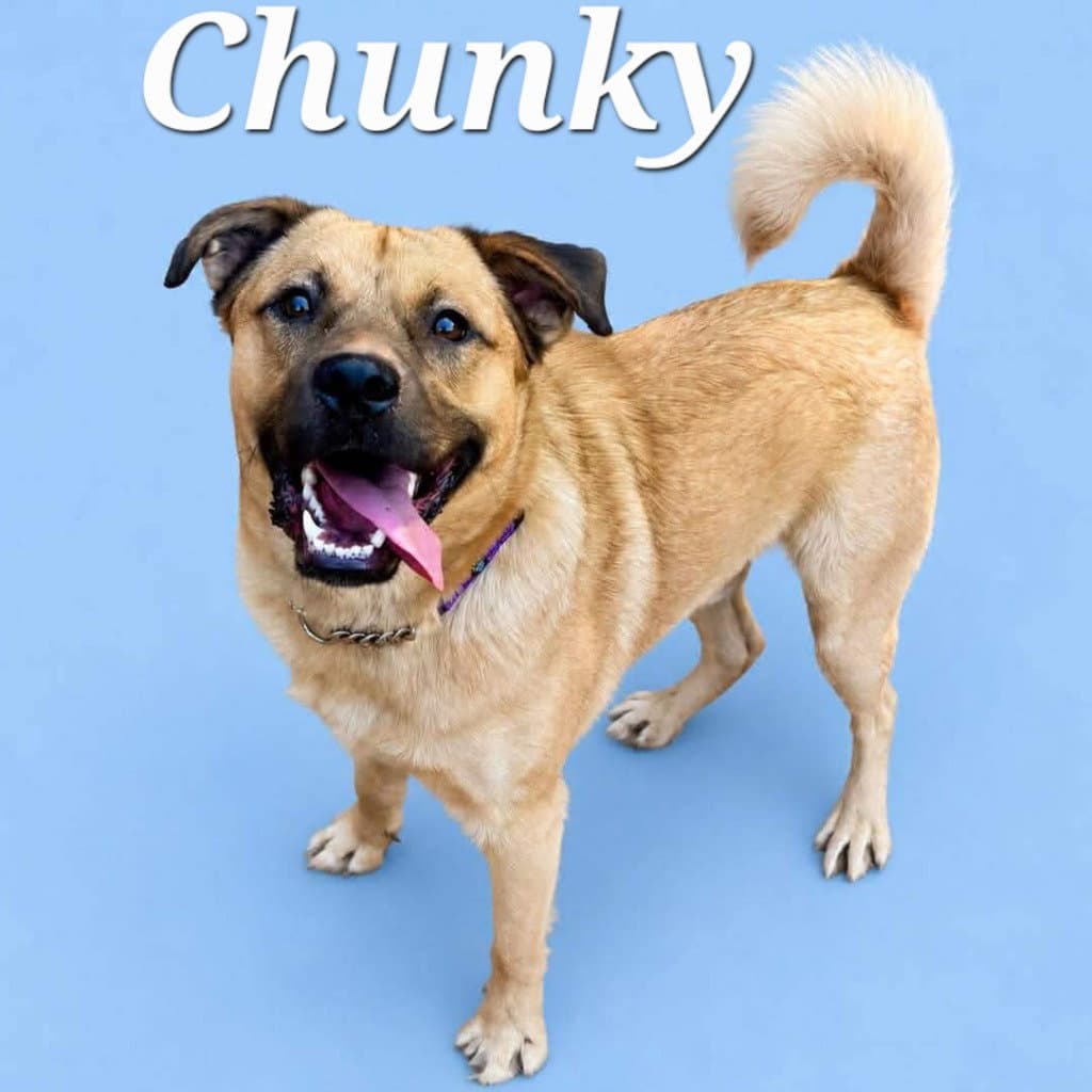 Chunky