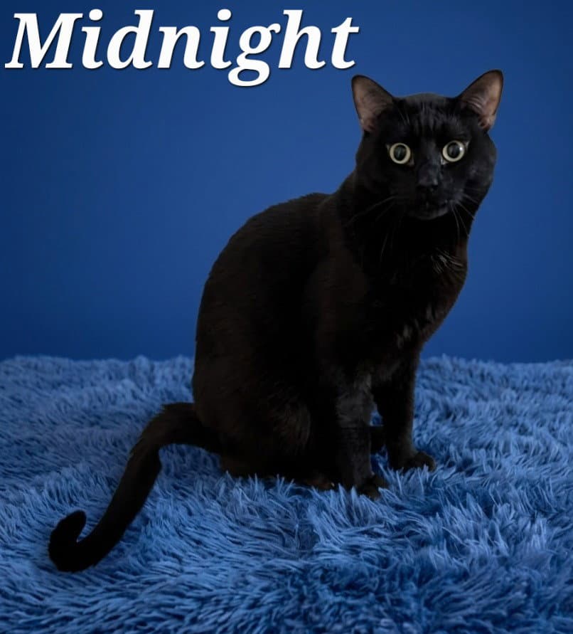 Midnight