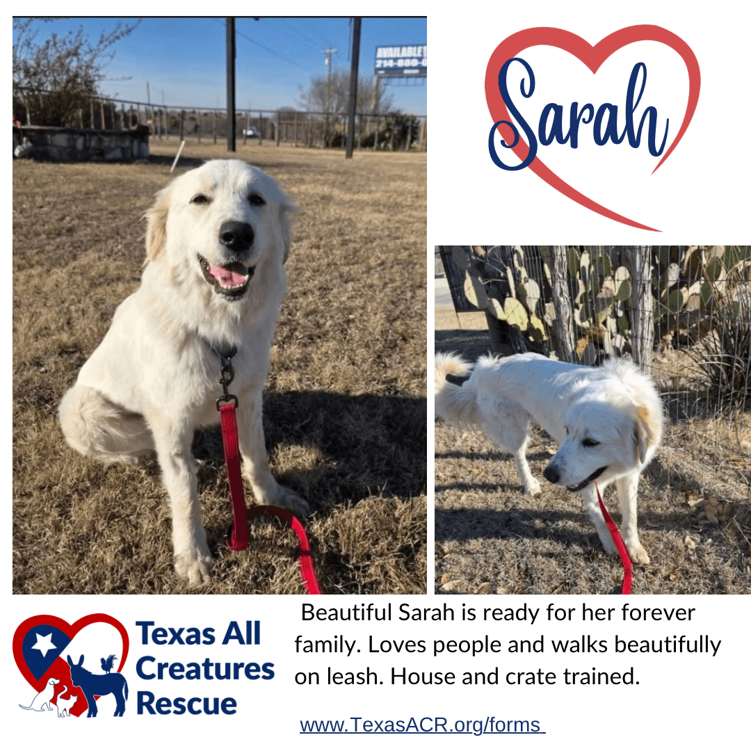 Sarah