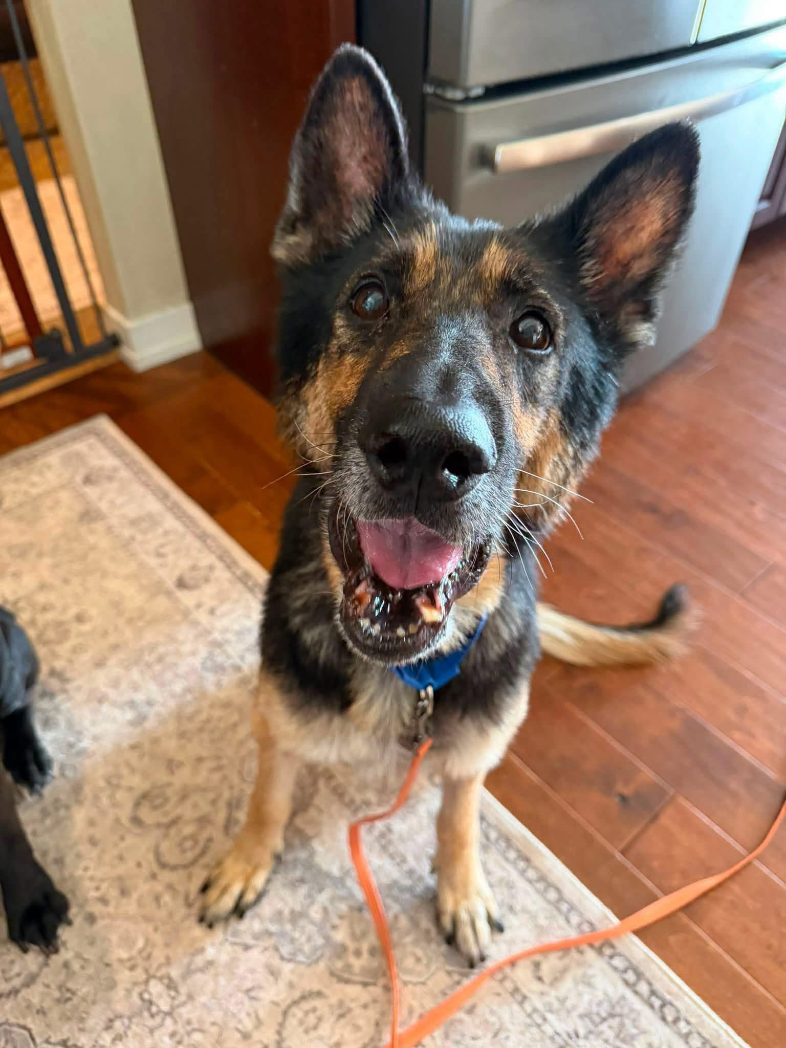 Zeus