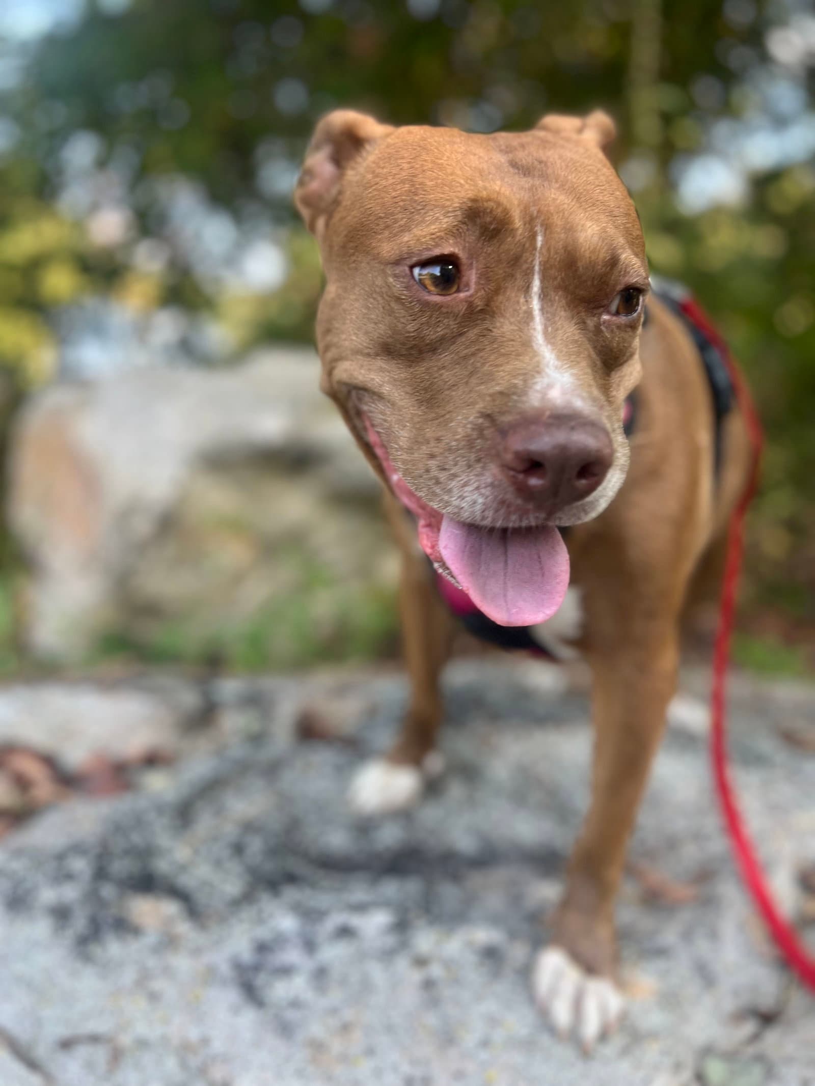 Chloe