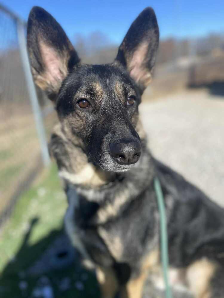 Cass
